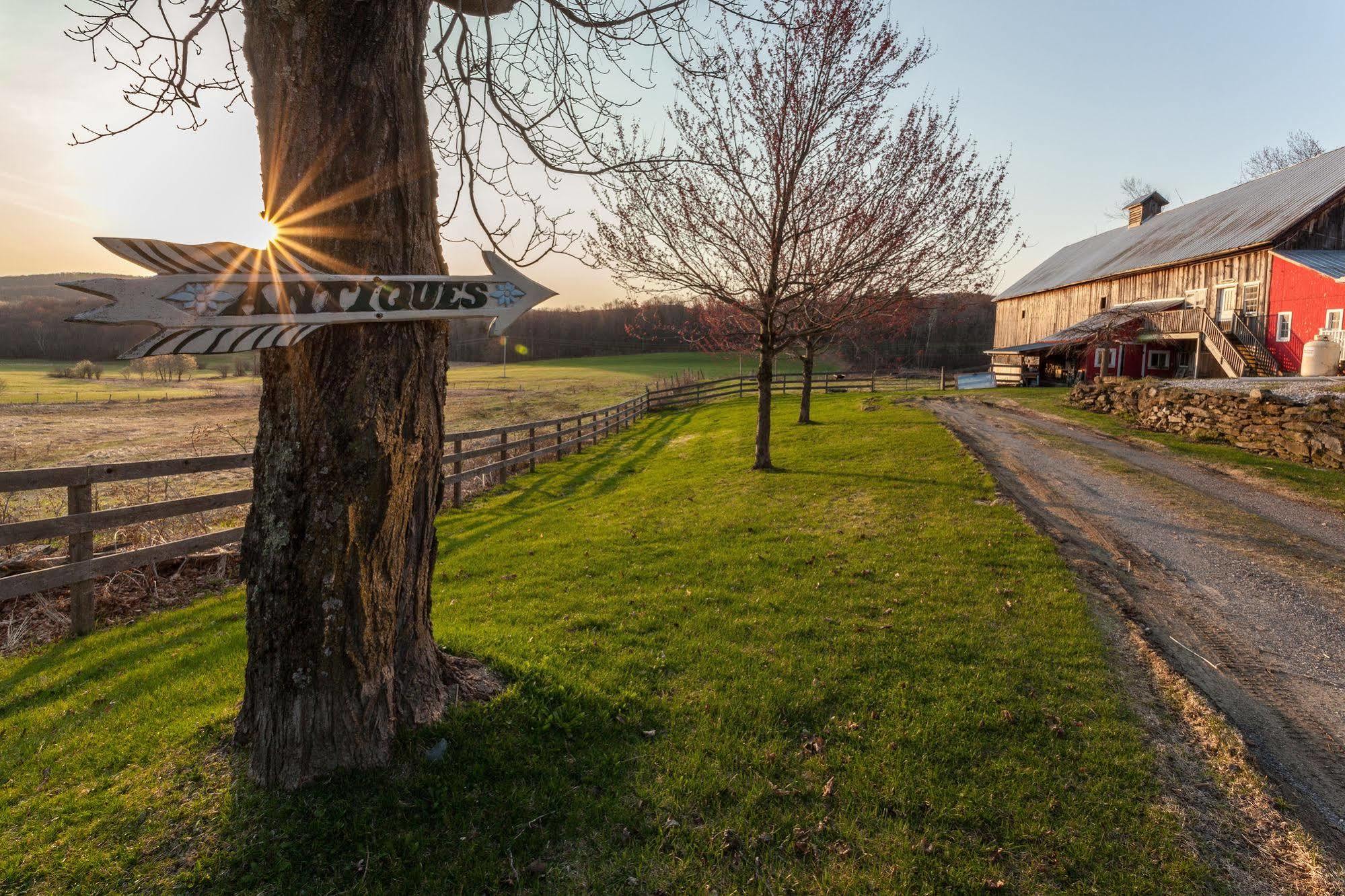 Inn At Buck Hollow Farm Fairfax Экстерьер фото
